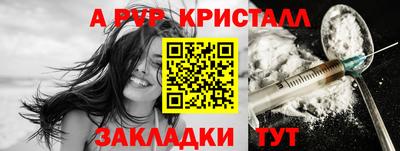 PSILOCYBIN Гатчина