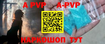 PSILOCYBIN Гатчина
