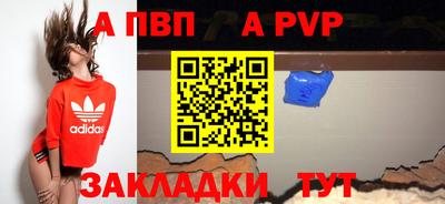 PSILOCYBIN Гатчина
