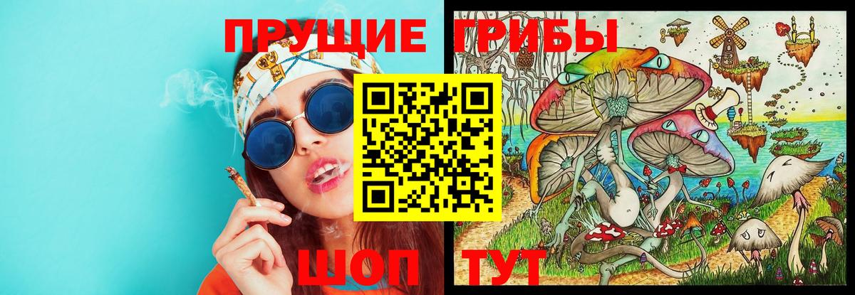 Орехово-Зуево  Галлюциногенные грибы Cubensis  Вход с VPN 