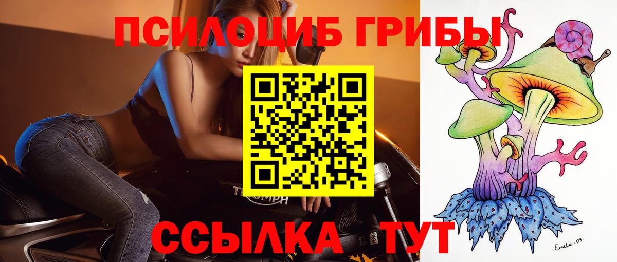 Псилоцибиновые грибы прущие грибы Орехово-Зуево